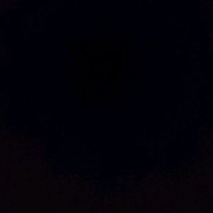 Meet your Posher, Monique